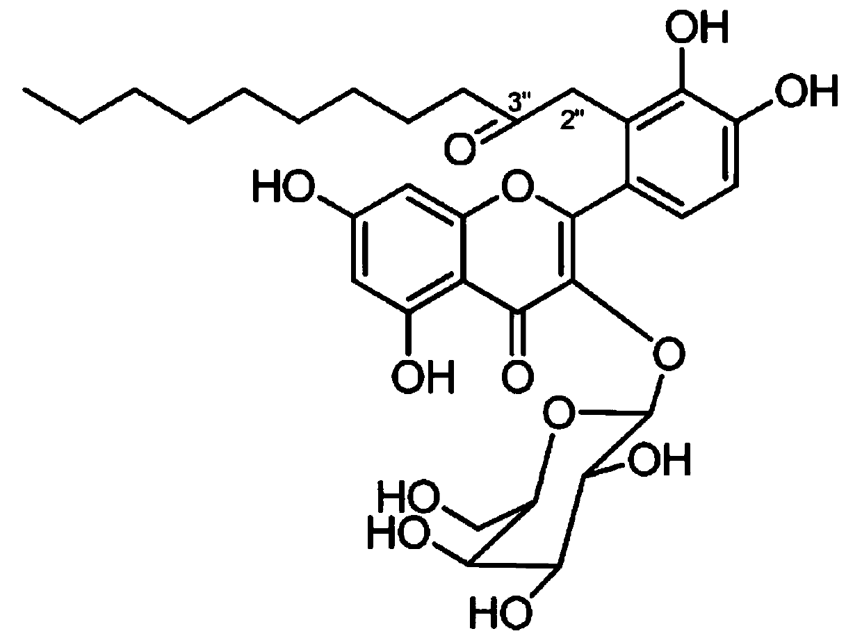 Application of Houttuynoid D in tubercle bacillus resistant medicament