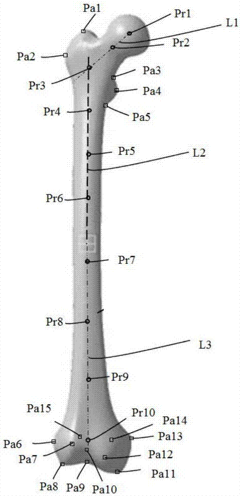 Individualized femoral fracture reduction model construction method