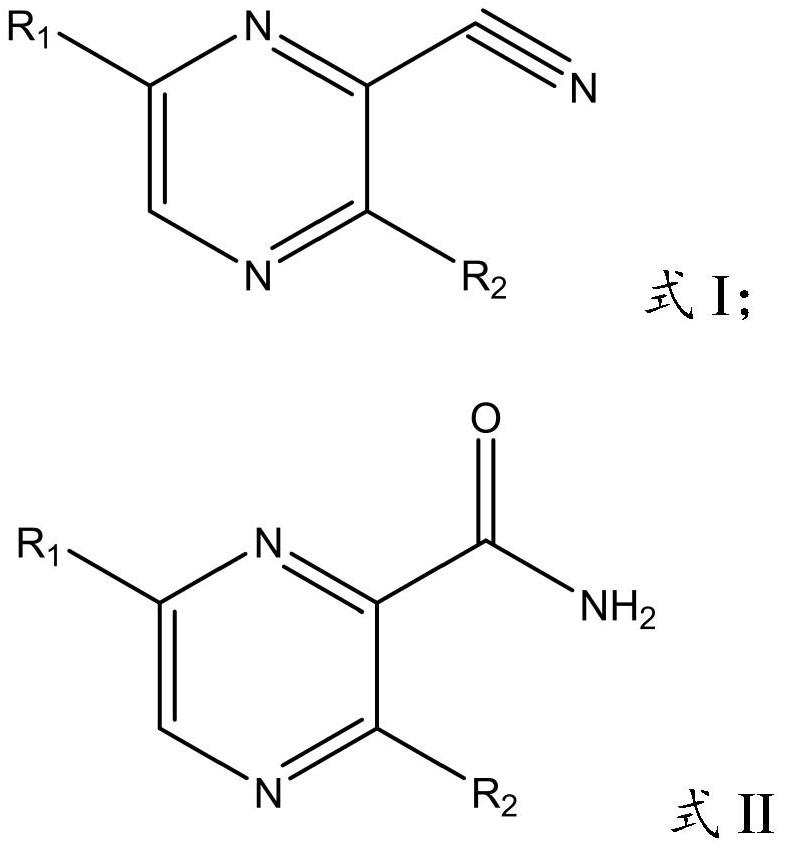 Application of nitrile hydratase from Sinorhizobium meliloti in preparation of amide pyrazine compound