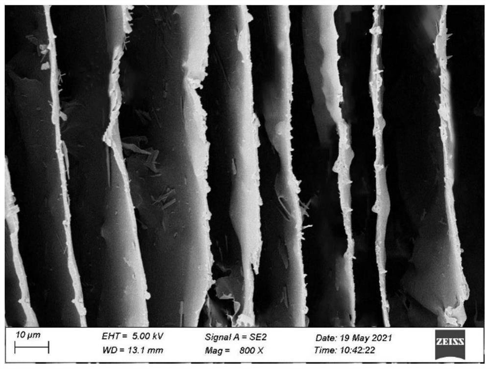 Ordered lamellar polyamidoxime-based graphene oxide composite material for extracting uranium from seawater and preparation method thereof