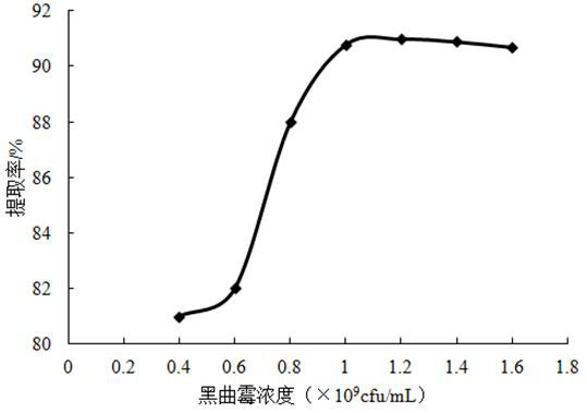 Method for extracting mangiferin from mango leaves