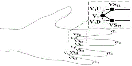 Method for using human body palm biology information to identify identities