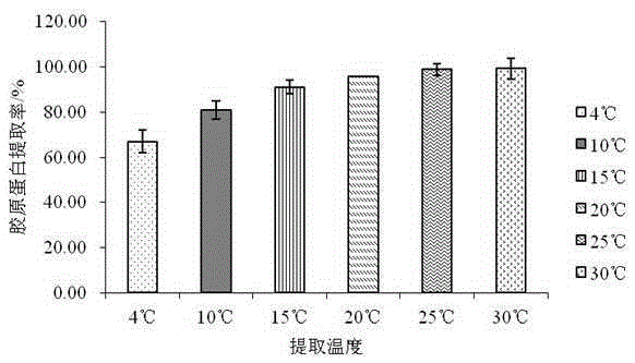 Non-degenerated jellyfish collagen preparation method