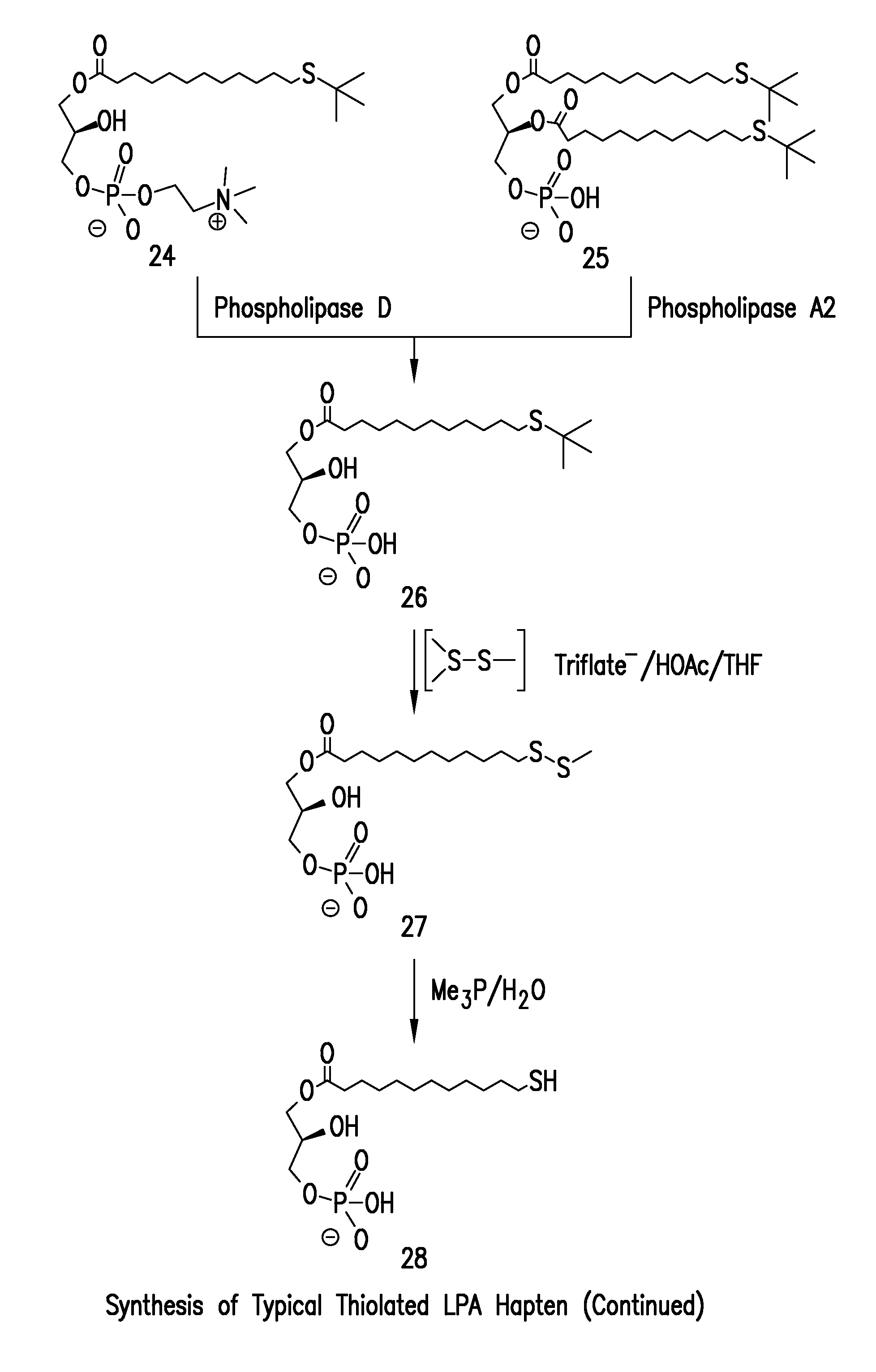 Methods and reagents for detecting bioactive lipids