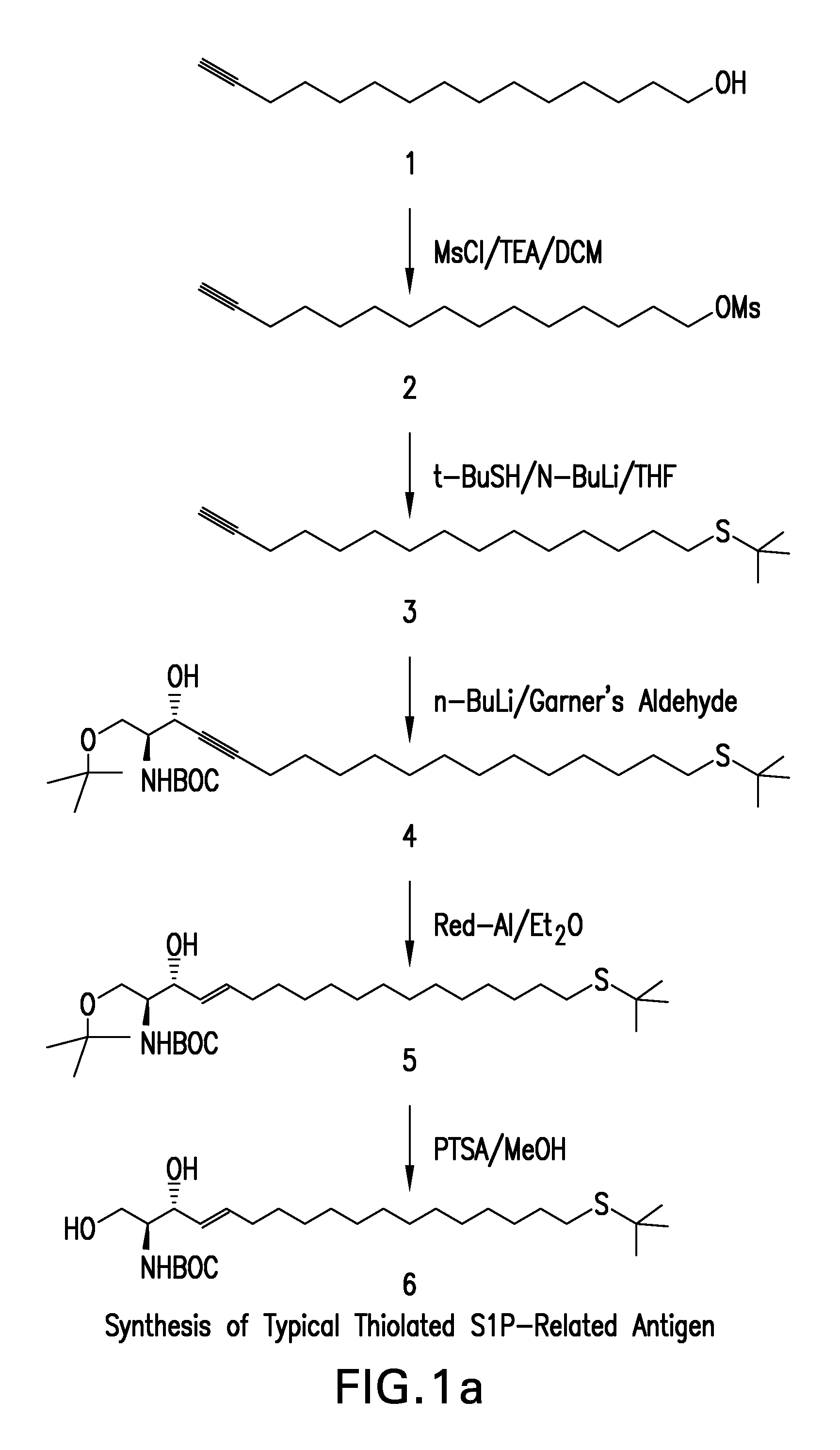 Methods and reagents for detecting bioactive lipids