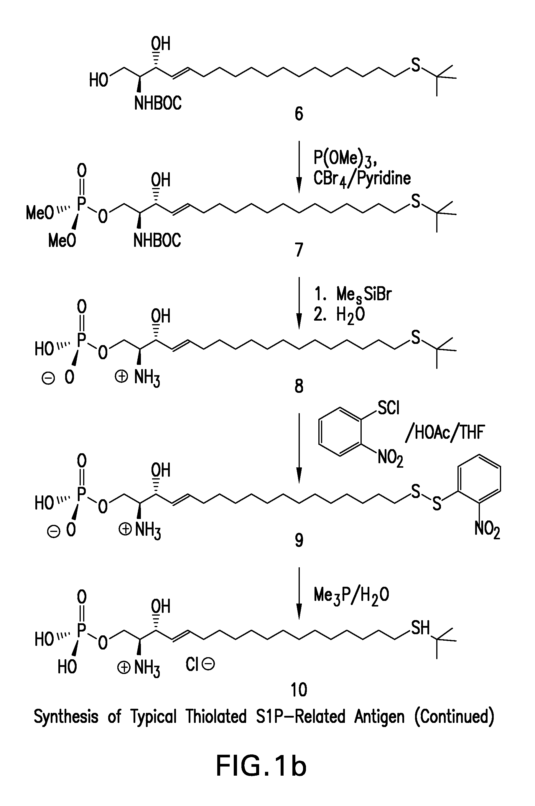 Methods and reagents for detecting bioactive lipids