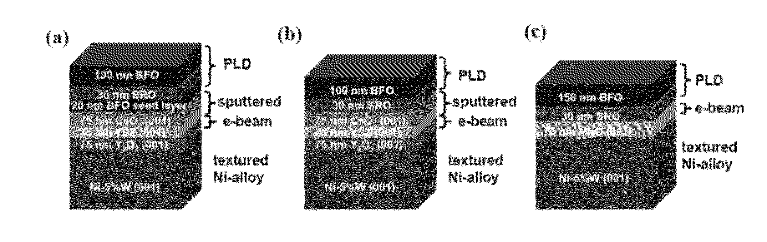 Polycrystalline ferroelectric or multiferroic oxide articles on biaxially textured substrates and methods for making same
