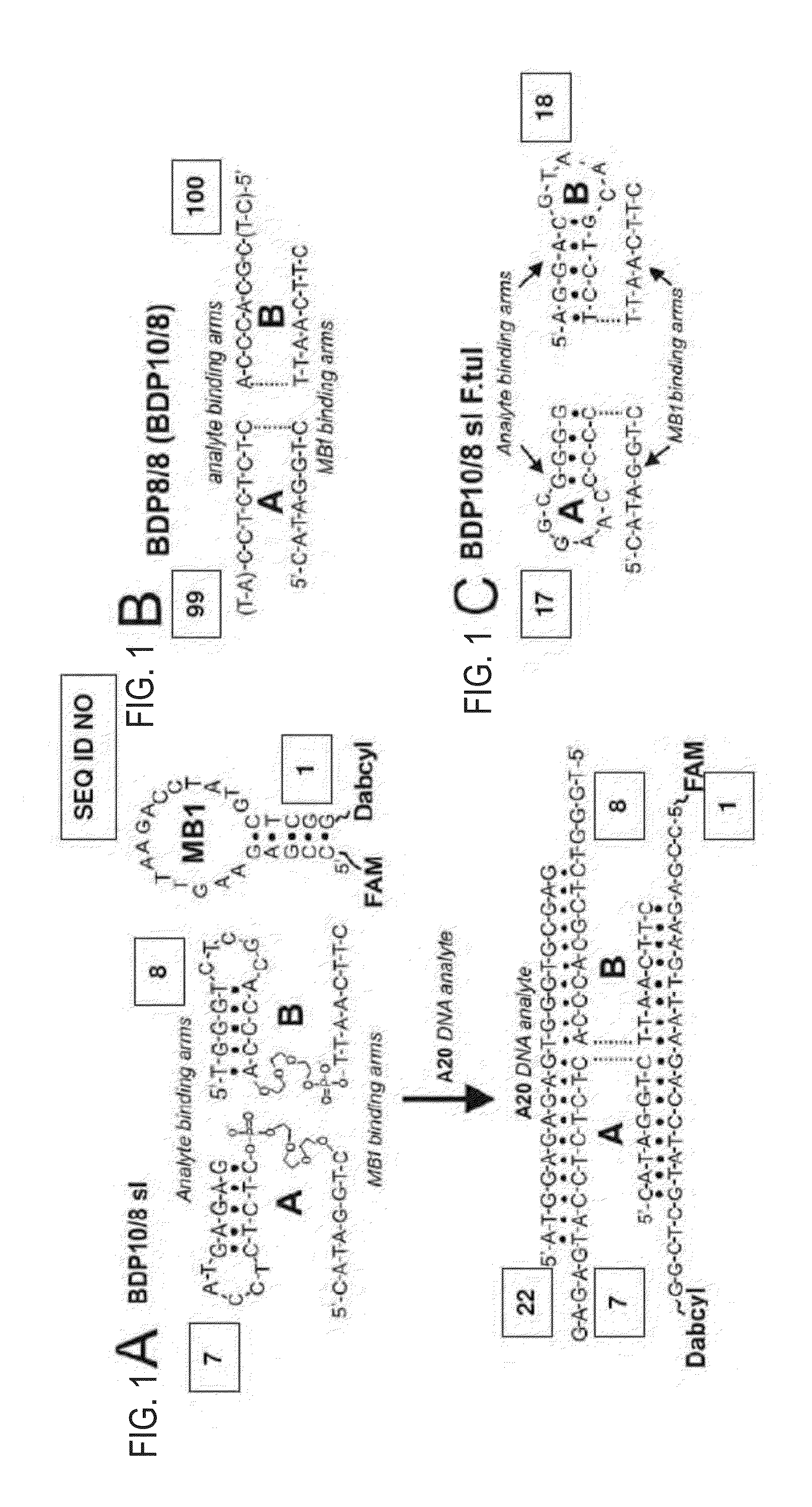 Binary DNA Probe for Fluorescent Analysis of Nucleic Acids