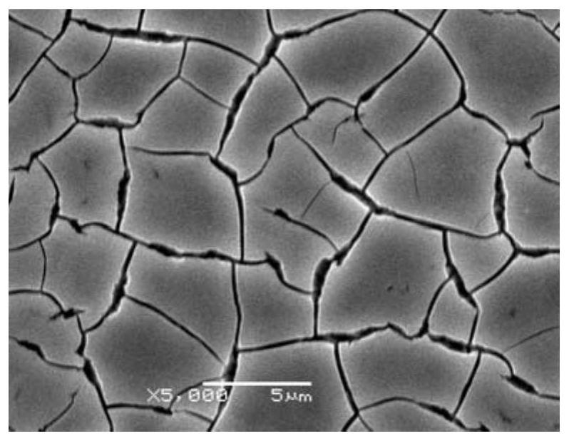 In-situ preparation method of electrode coated with nickel-copper molybdate composite film