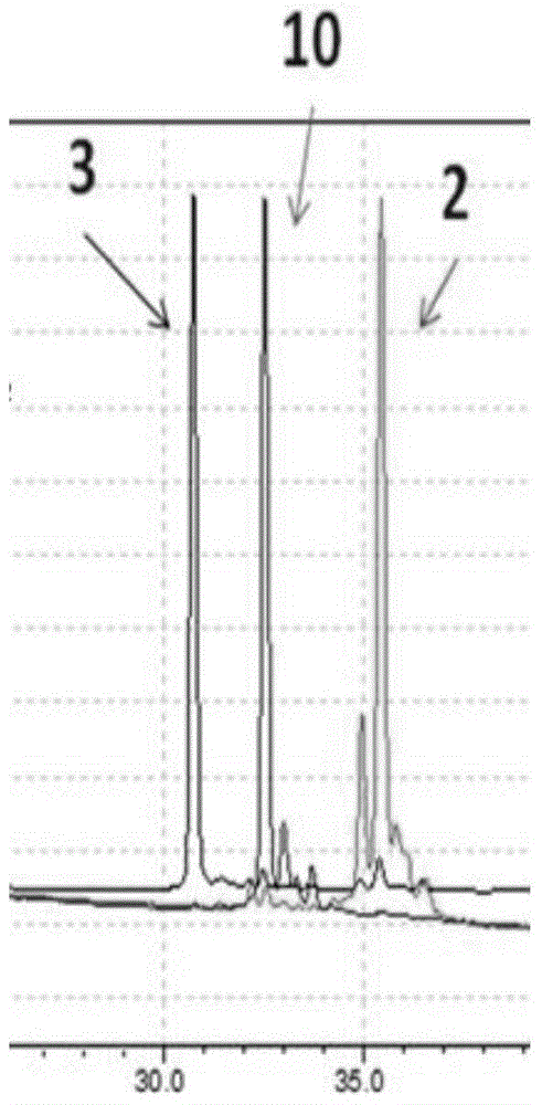 Method for drug release by cleavage of ester bond