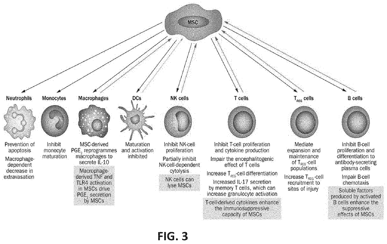 Method of skin rejuvenation using stem cell engraftment