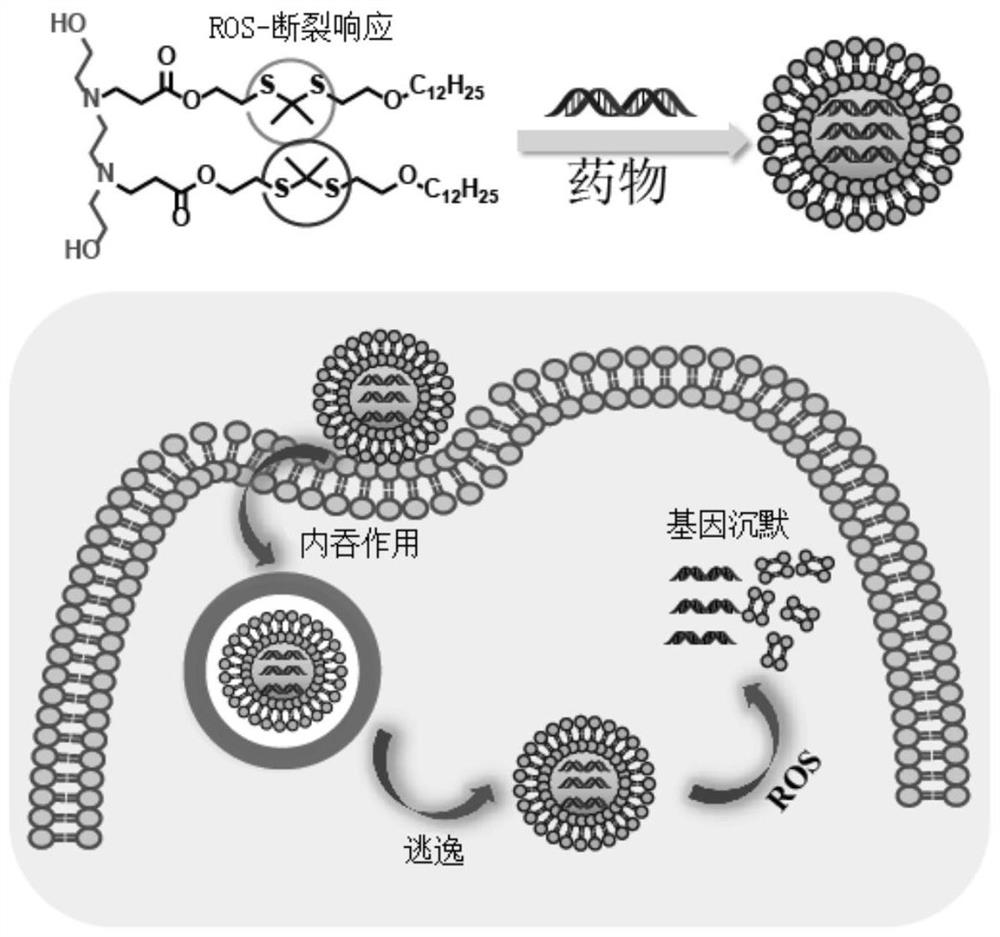 A kind of liposome material and its preparation method and application