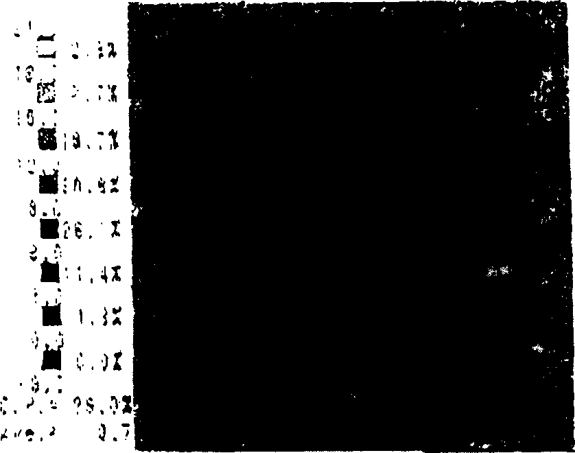 Dielectric ceramic composite and electronic device