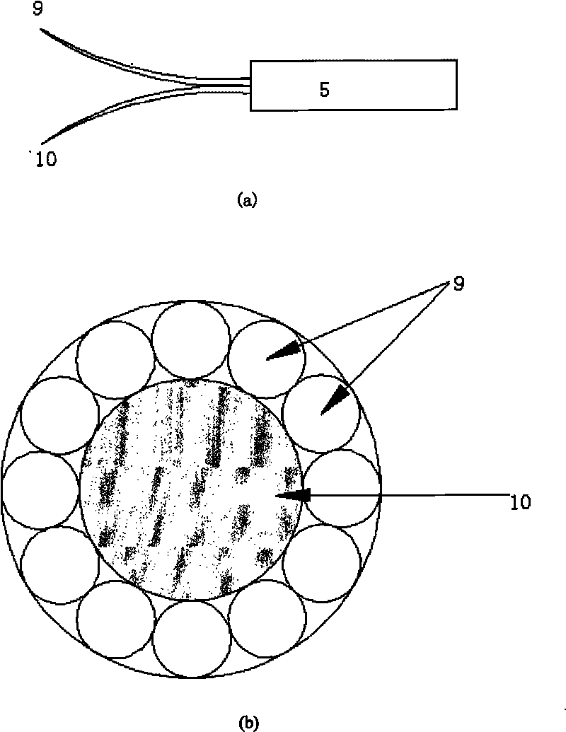 Human body oxidative stress non-invasive fluorescence detection device and method