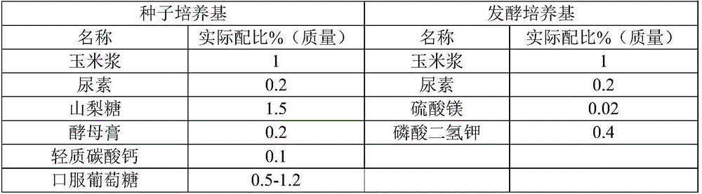 Method for improving production capacity of acid producing bacteria by adopting Vc two-step fermentation