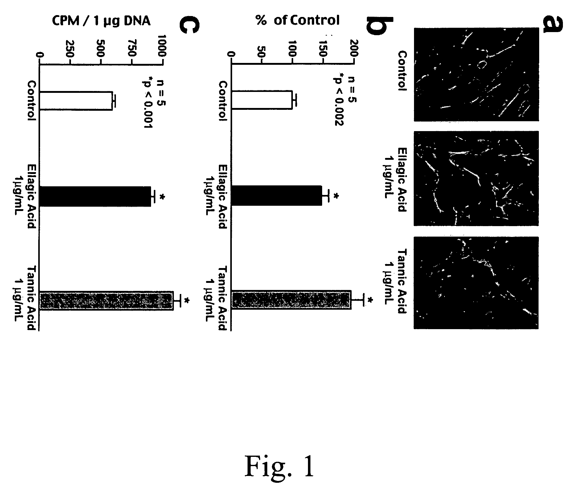 Elastin protective polyphenolics and methods of using the same