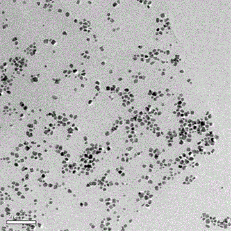 Preparation method for FePt/graphene composite nano-material