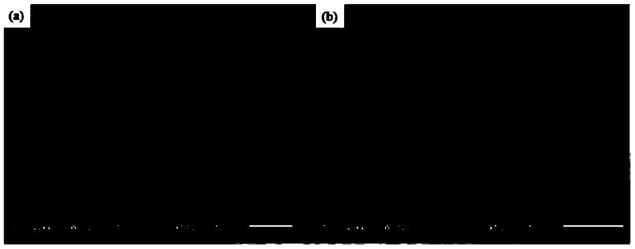 A kind of novel composite material for drug carrier and its preparation method and application