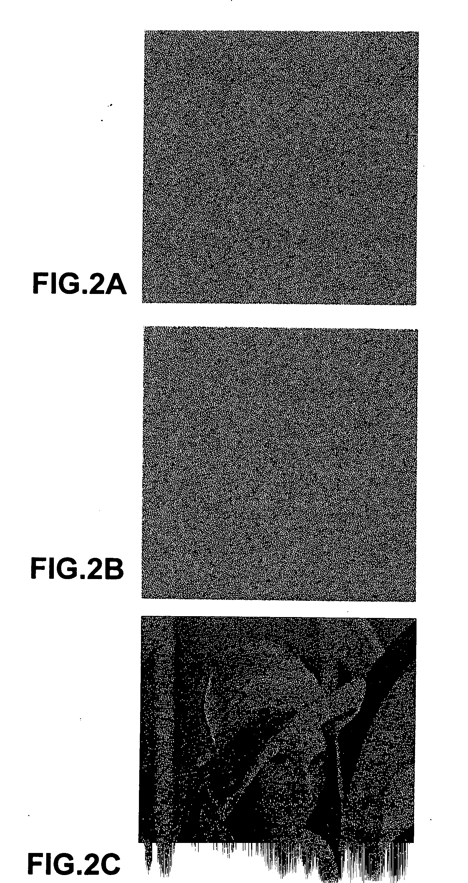 Method and system for embedding an image into two other images