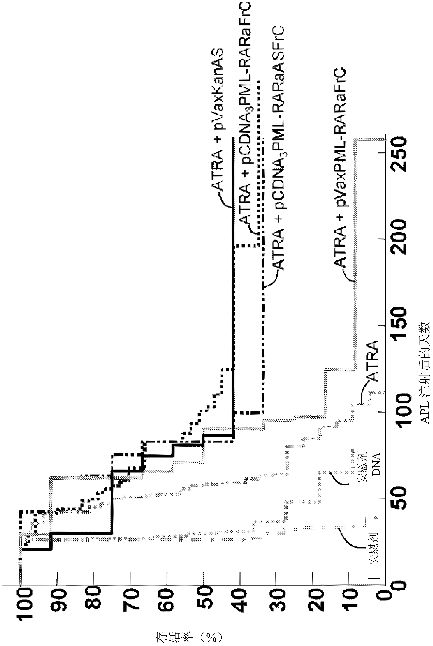 Kanamycin antisense nucleic acid for the treatment of cancer