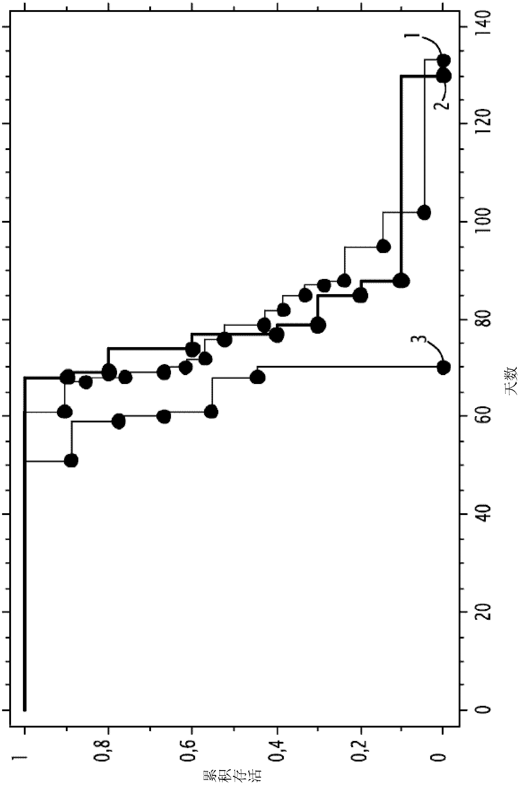 Kanamycin antisense nucleic acid for the treatment of cancer