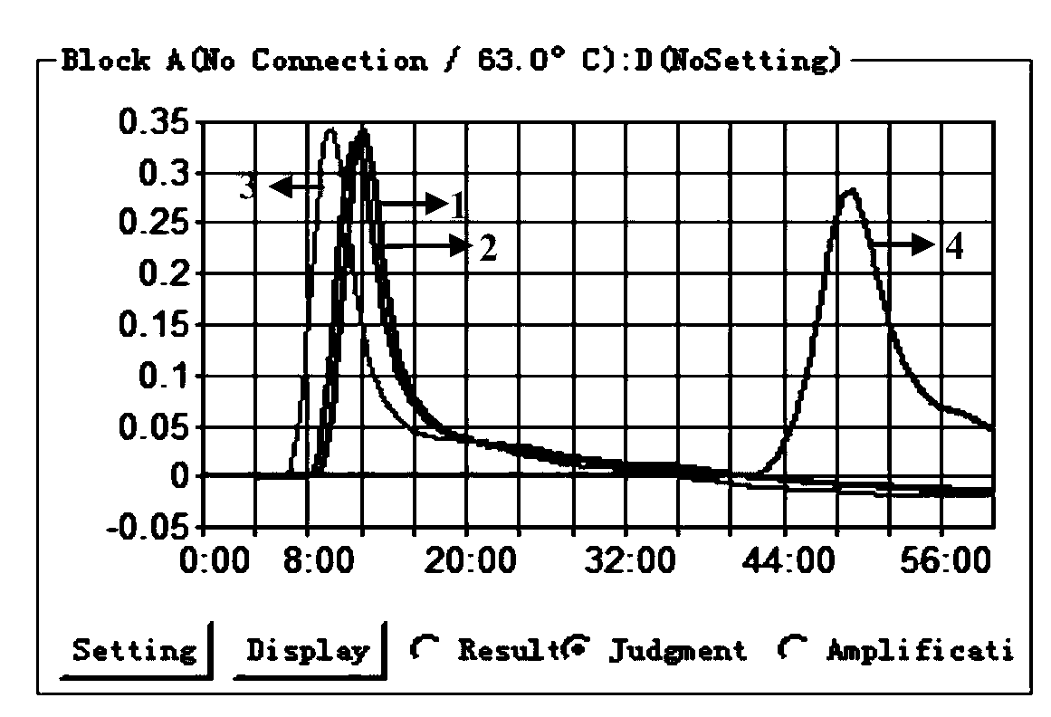 Primer group for detecting nervous necrosis viruses of fishes and application thereof