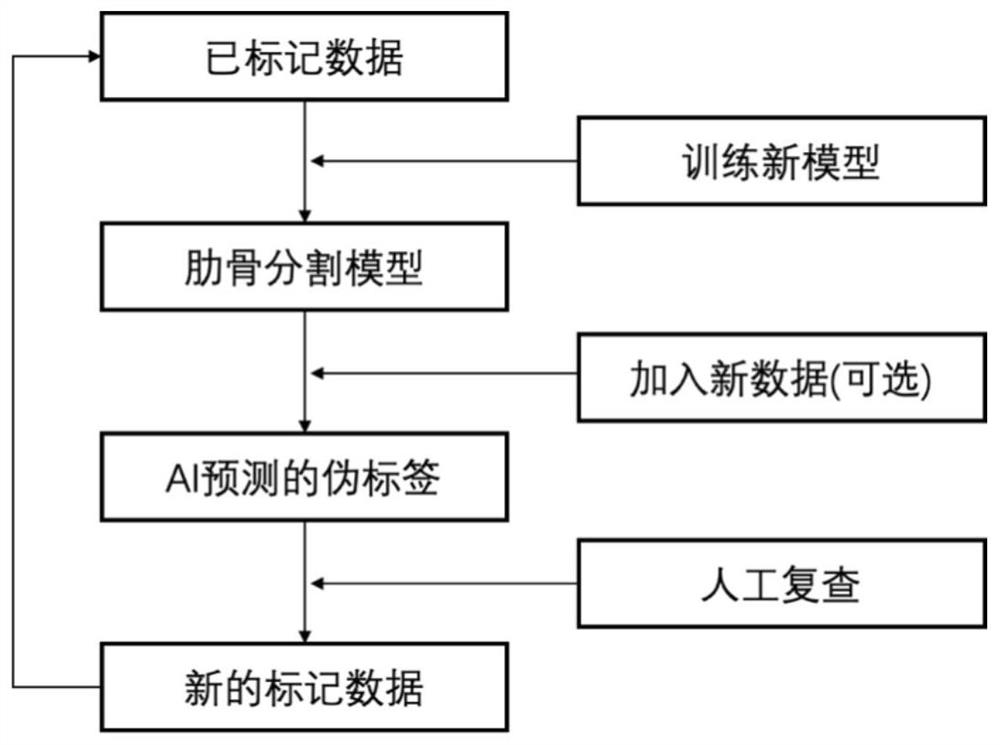 CT rib segmentation method and device