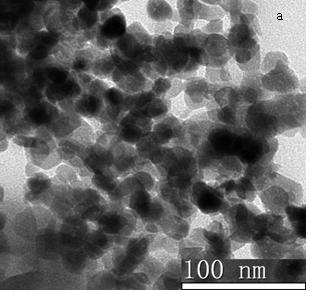 Preparation method for conductive superparamagnetic nanometer gamma-ferric-oxide/polyaniline-methotrexate