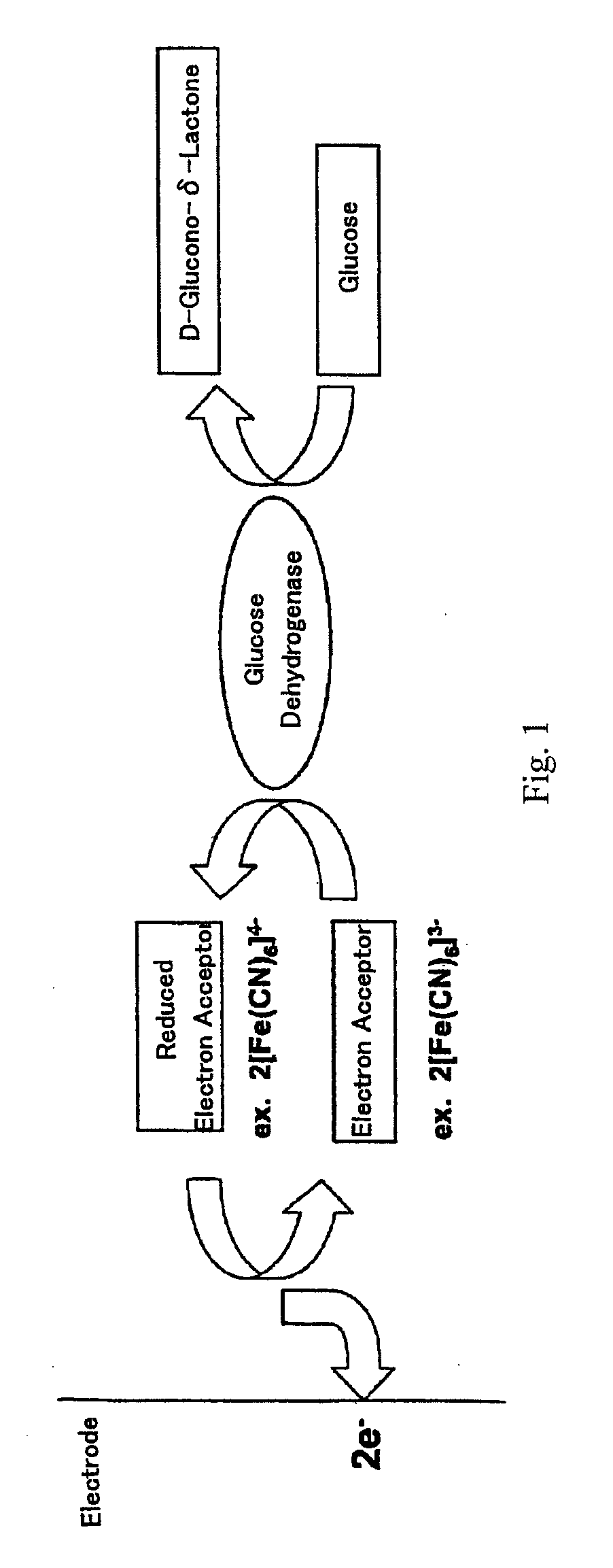 Electrochemical method for glucose quantification, glucose dehydrogenase composition, and electrochemical sensor for glucose measurement