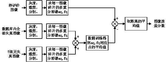 No-reference image quality evaluation method based on multifractal spectrum