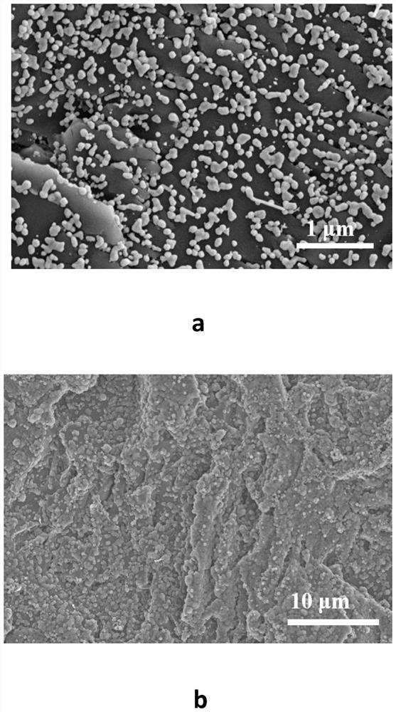 A surface-enhanced Raman scattering substrate material for gas detection and its preparation method