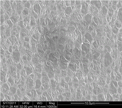 Preparation method for cellulose ether-sodium alginate-tetraethylortho silicate pervaporation and hybrid membrane