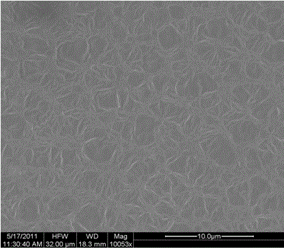 Preparation method for cellulose ether-sodium alginate-tetraethylortho silicate pervaporation and hybrid membrane