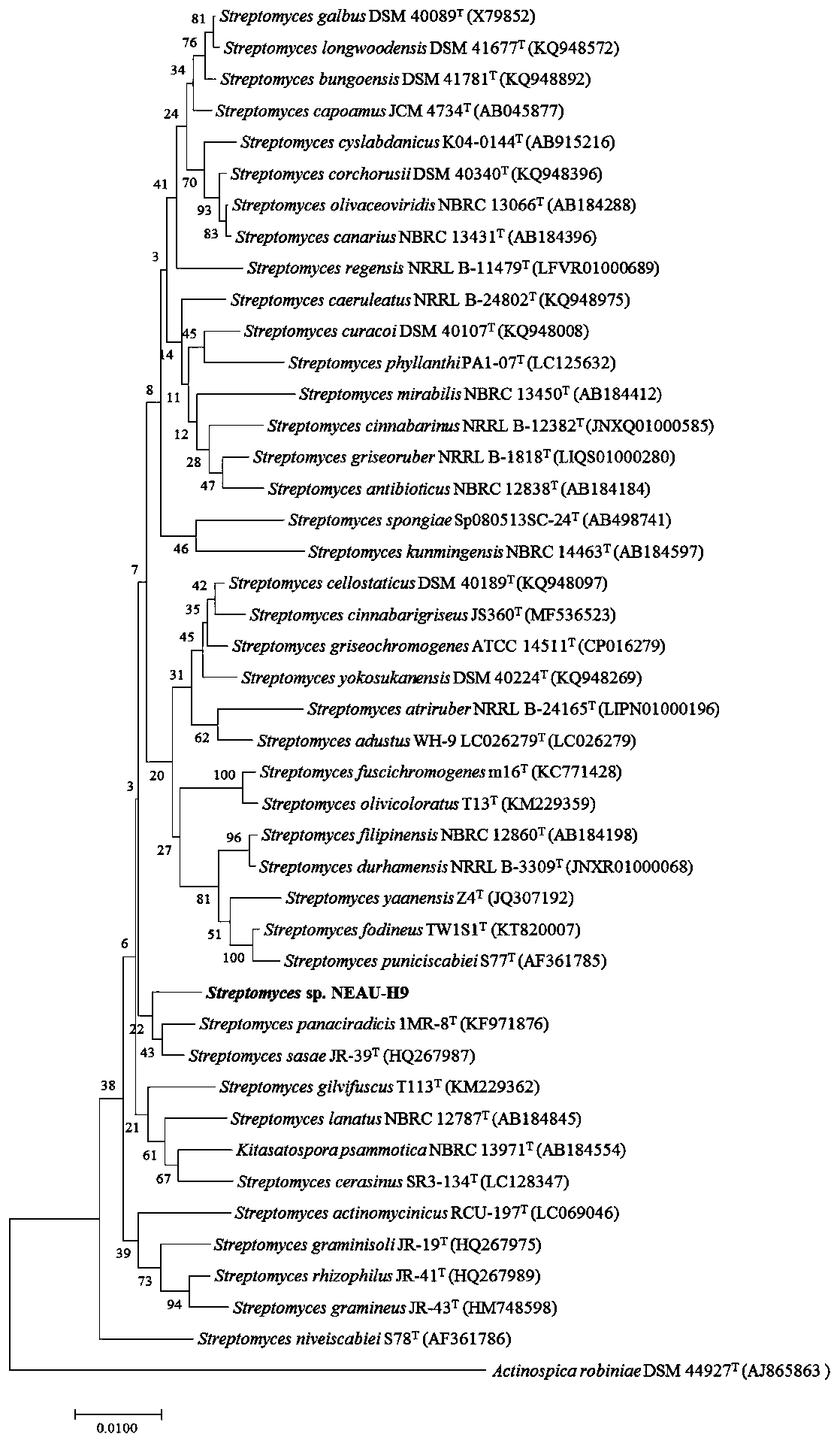 Streptomyces sp. and screening method and application thereof