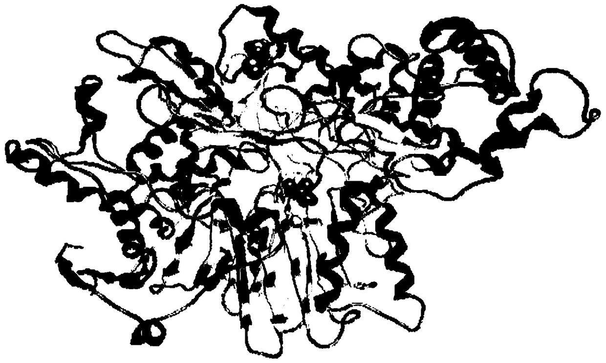 A kind of synthetic penicillin g acylase mutant and its application in the preparation of amoxicillin