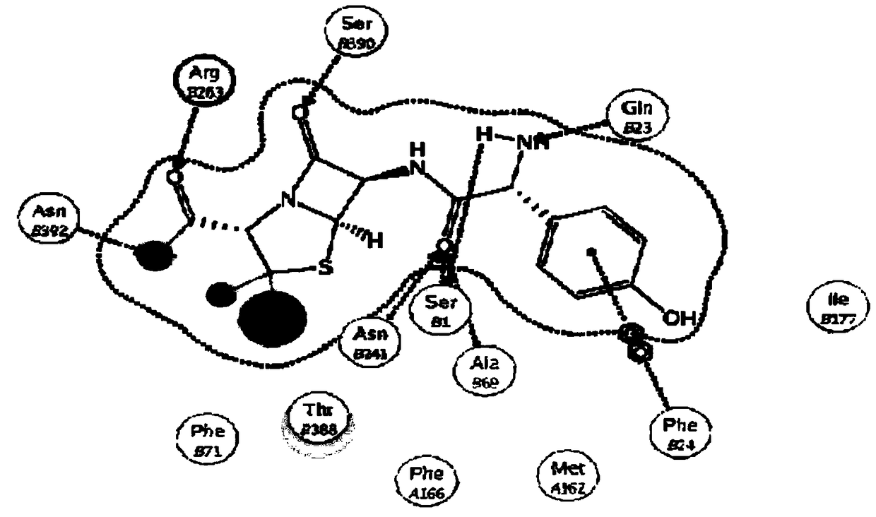 A kind of synthetic penicillin g acylase mutant and its application in the preparation of amoxicillin