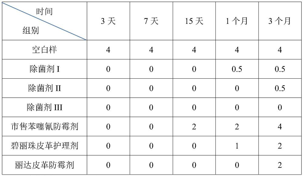 Composite leather anti-mold and fungicide and preparation method thereof