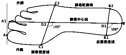 Method and system for processing reconstructed foot triangular mesh model