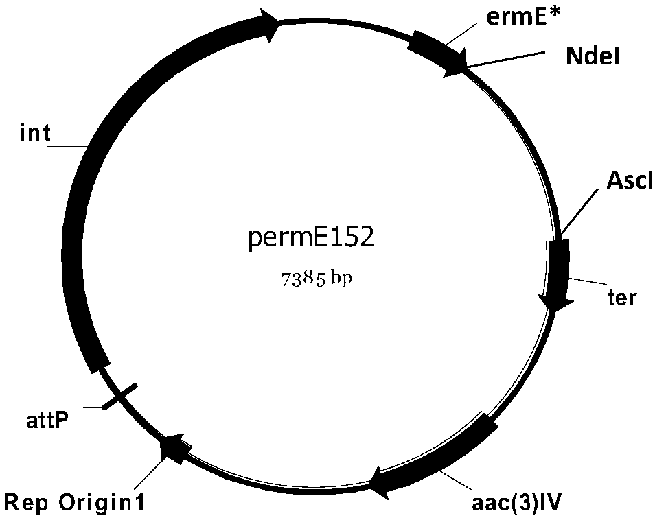 Genetically engineered bacterium for producing A82846B as well as preparation method and application of genetically engineered bacterium