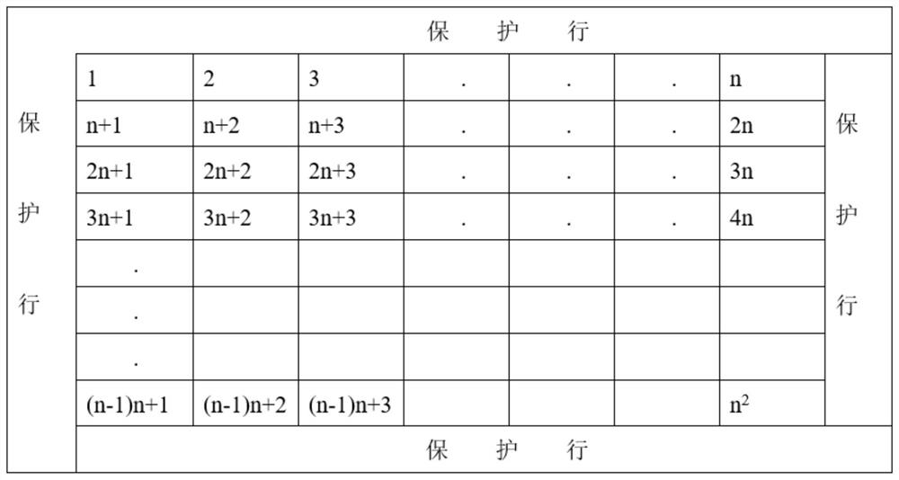 A field comparative test method and application of a new fast-growing tree variety