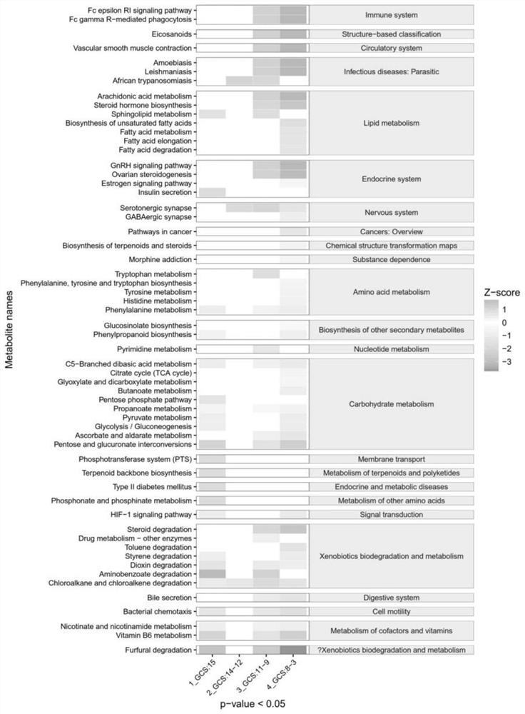 Application of 4-hydroxyphenylacetic acid as marker in preparation of diagnostic kit for sepsis encephalopathy