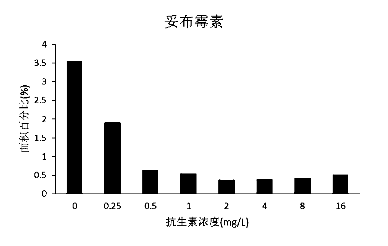 Method for rapidly obtaining bacterial drug resistance by detecting number of bacteria on gel