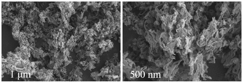 Method for treating organic wastewater by activating peroxymonosulfate with assistance of visible light