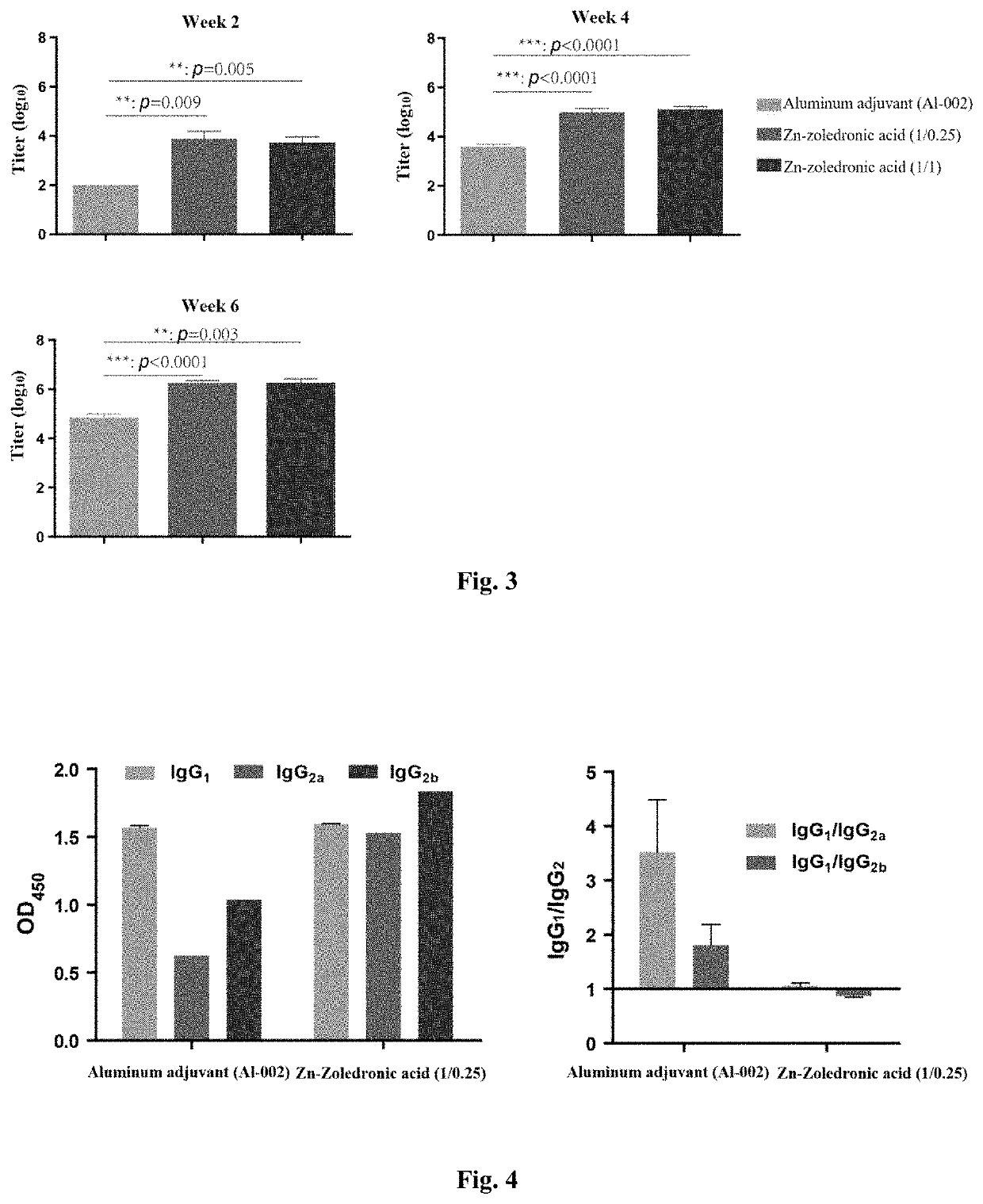 Preparation of zinc zoledronate micro-nanoparticle adjuvant and use thereof as vaccine adjuvant