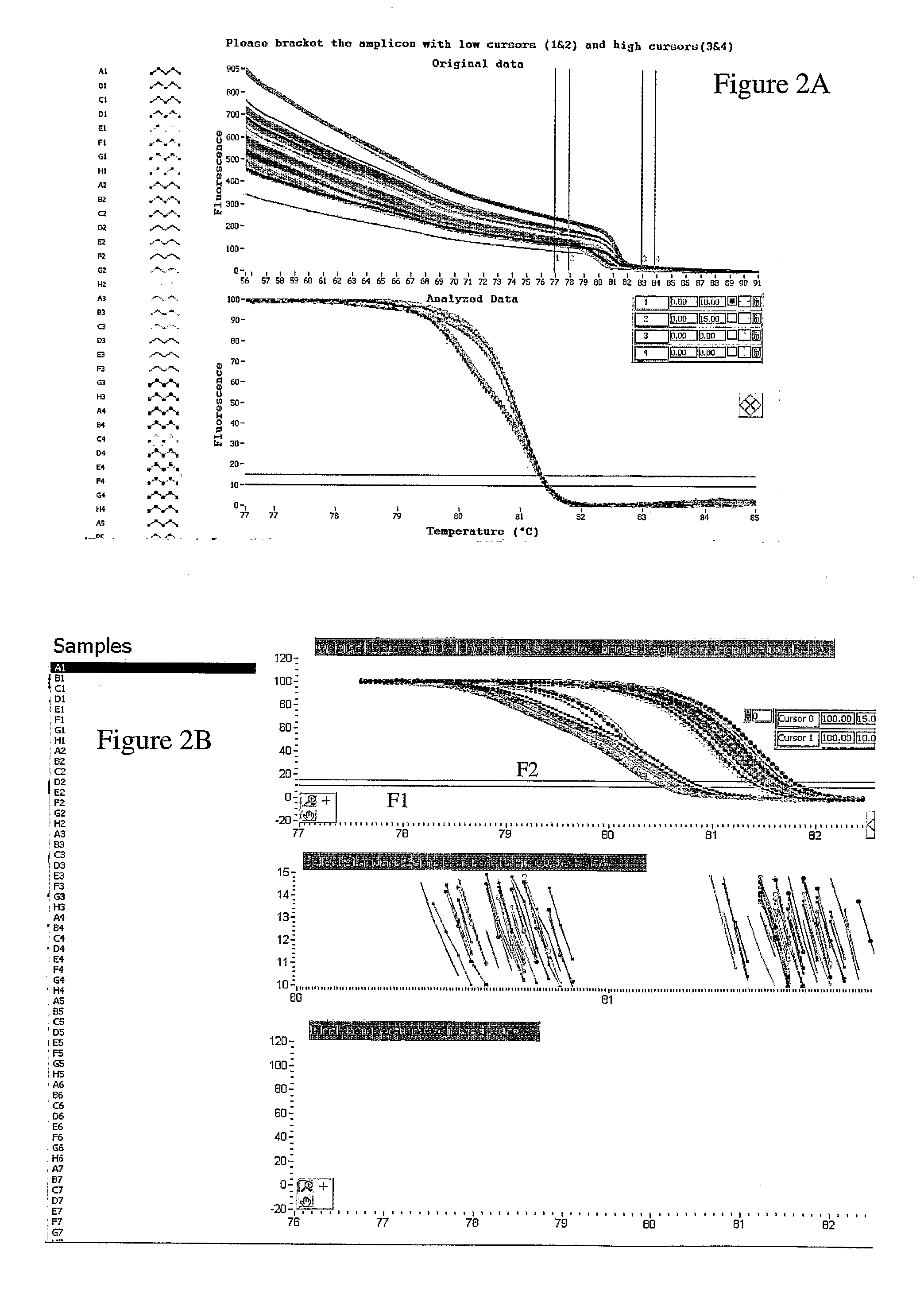 Melting Curve Analysis with Exponential Background Subtraction