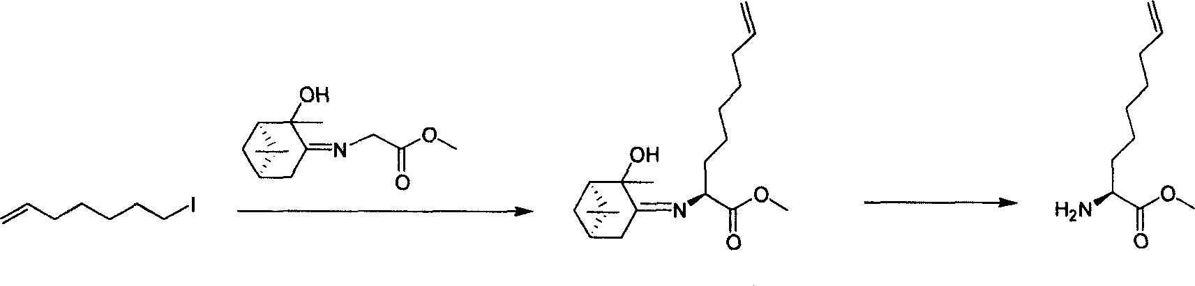 Method for synthesizing 2 - amido - 9 - capric olefine acid