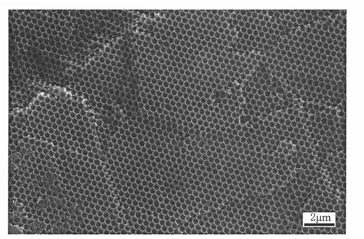 Method of preparing three-dimensionally ordered macroporous chelate resin with hydrophilic-structure framework