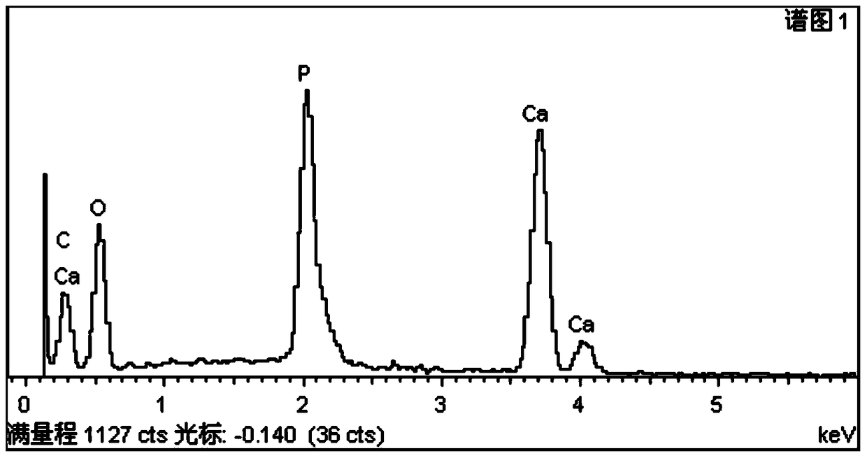 A bioactive hard tissue engineering scaffold material and preparation method thereof