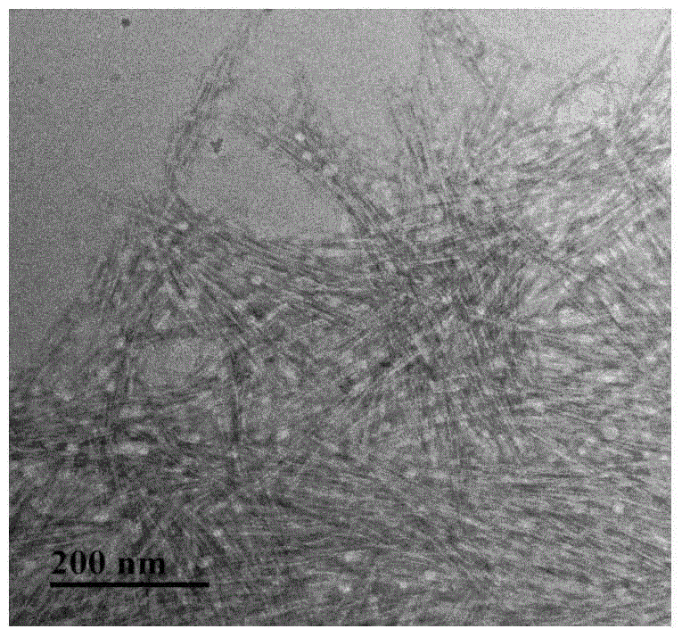 Modified cellulose nanometer crystal and preparation method thereof