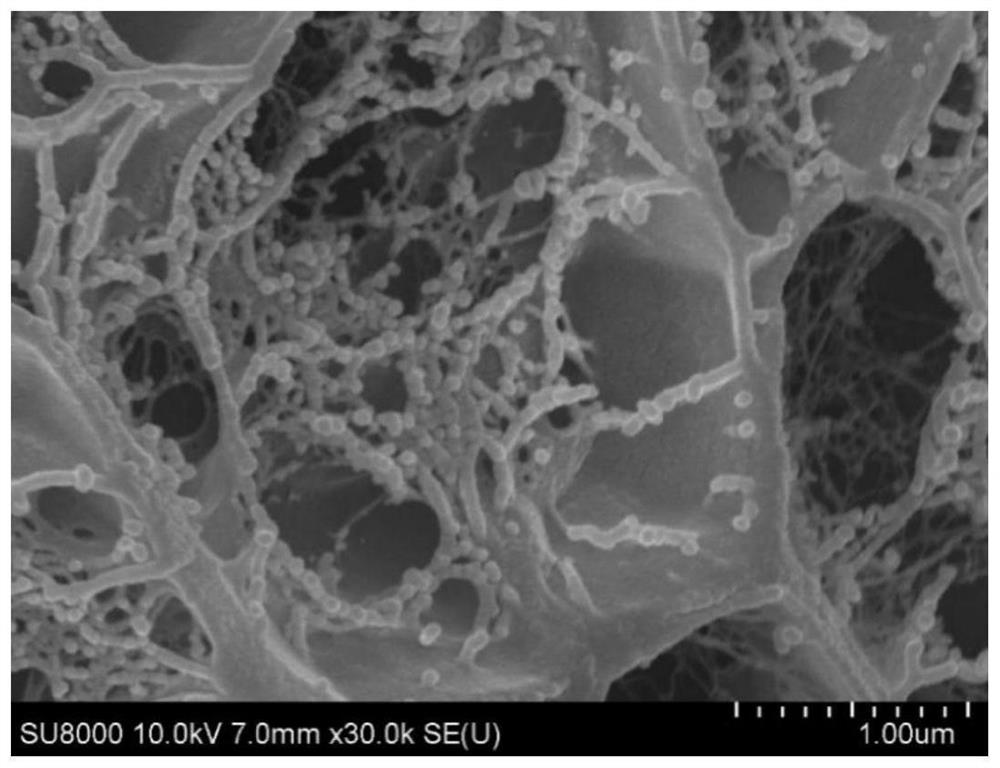 Preparation method of fish jelly with high gel strength and thermal stability